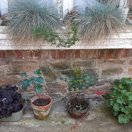 Chez Clo Guest house