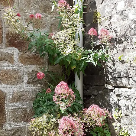 Guest house Chez Clo